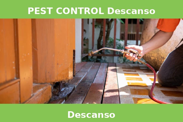 PEST CONTROL Descanso
